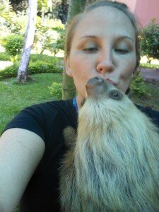 Who doesn't love a sloth?